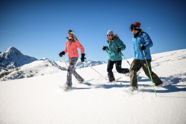 Bike- & Skihotelanlage Tauernhof Funsport (Flachau)